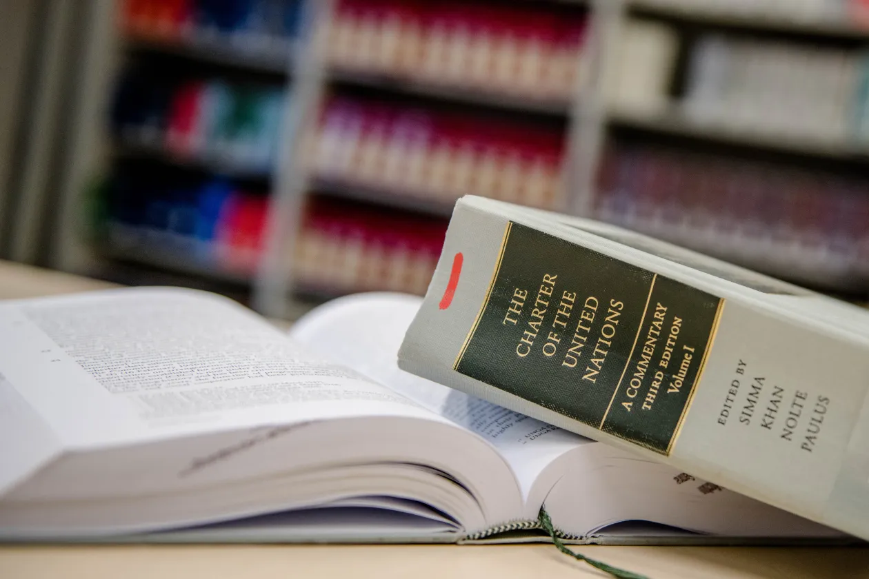 Buch Charter of the United Nations