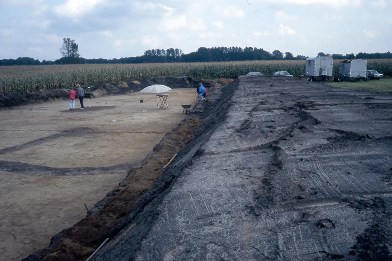 Eine archäologische Grabung am Rande eines Maisfelds