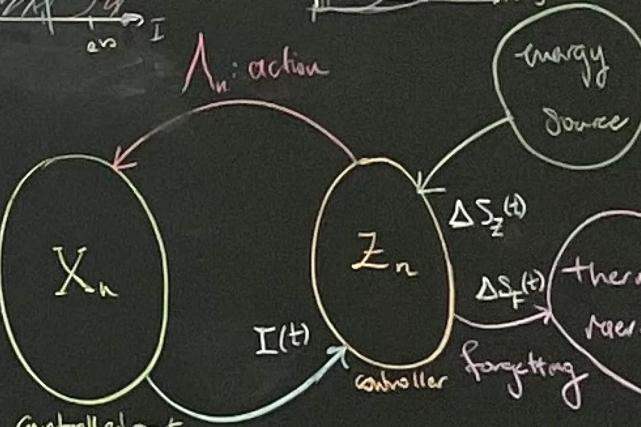 Theoretical approaches to understanding and harnessing complex interactions are multidisciplinary, drawing on concepts and techniques from nonlinear and non-equilibrium statistical physics, control theory, and machine learning.