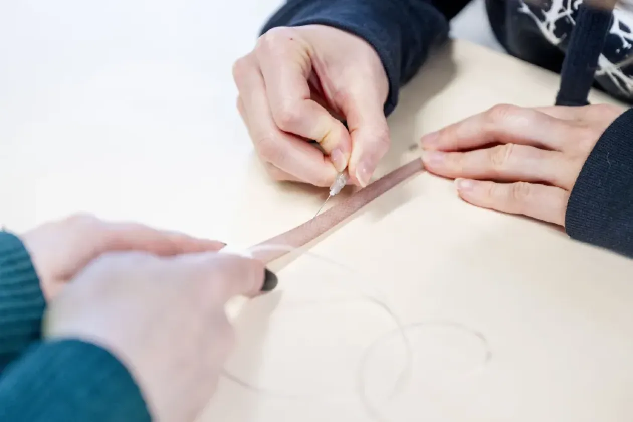 Blut abnehmen an künstlichen Schwanzvenen