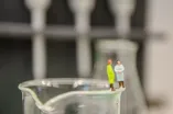 Small figures on the rim of a glass