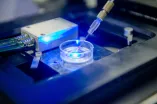 Eine hauchdünne Elektrode taucht in eine Glasschale mit blauem Licht ein.