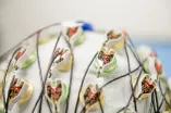 EEG-Kappe