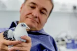 Forscher mit Taube