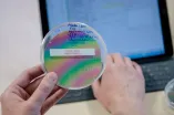Petrischale mit Materialprobe
