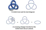 Diagram of knots and knot diagrams