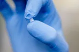 Knochenstoffwechsel auf einem Chip studieren