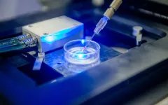 Eine hauchdünne Elektrode taucht in eine Glasschale mit blauem Licht ein.