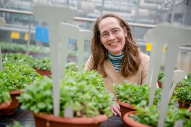 Porträt von Ute Krämer