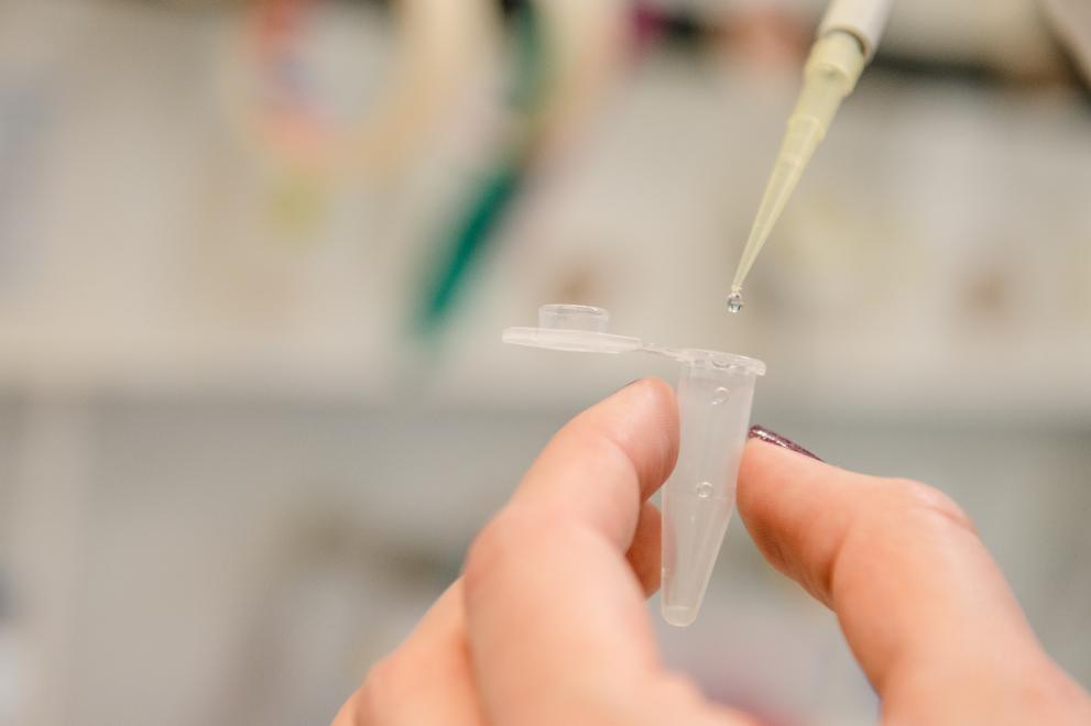 A drop of liquid hangs on a pipette above an Eppendorf tube.