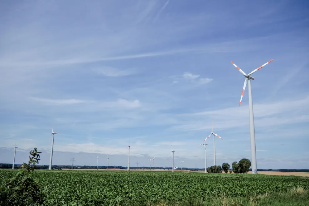Wind turbines on a field