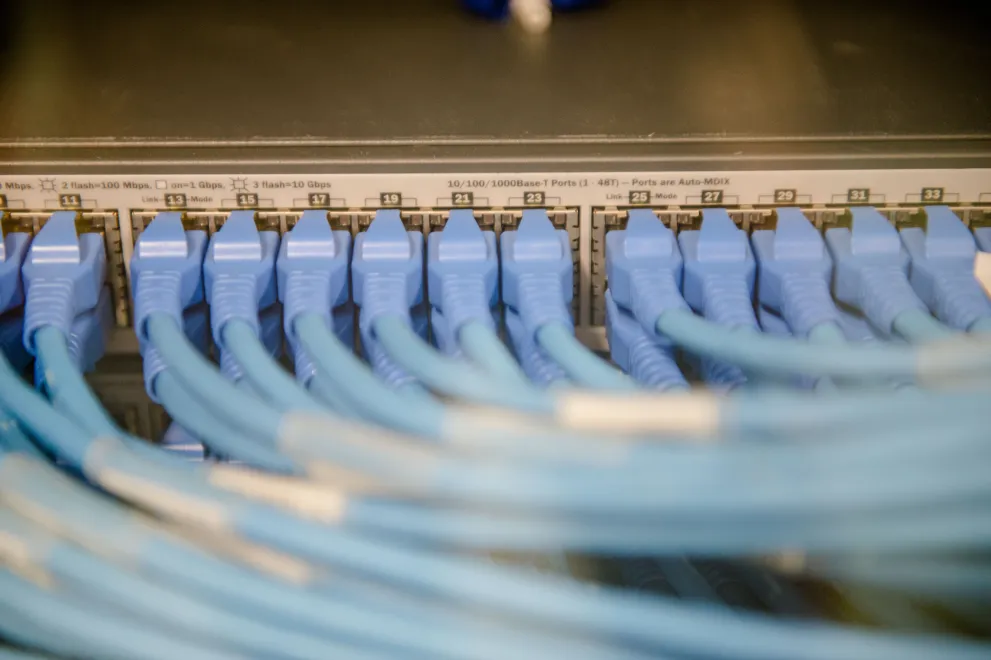 Viele Netzwerkkabel