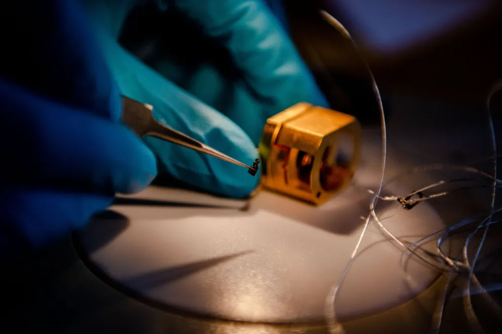 Pinzette mit Materialsplitter