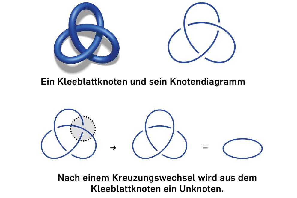 Grafik von Knoten und Knotendiagrammen