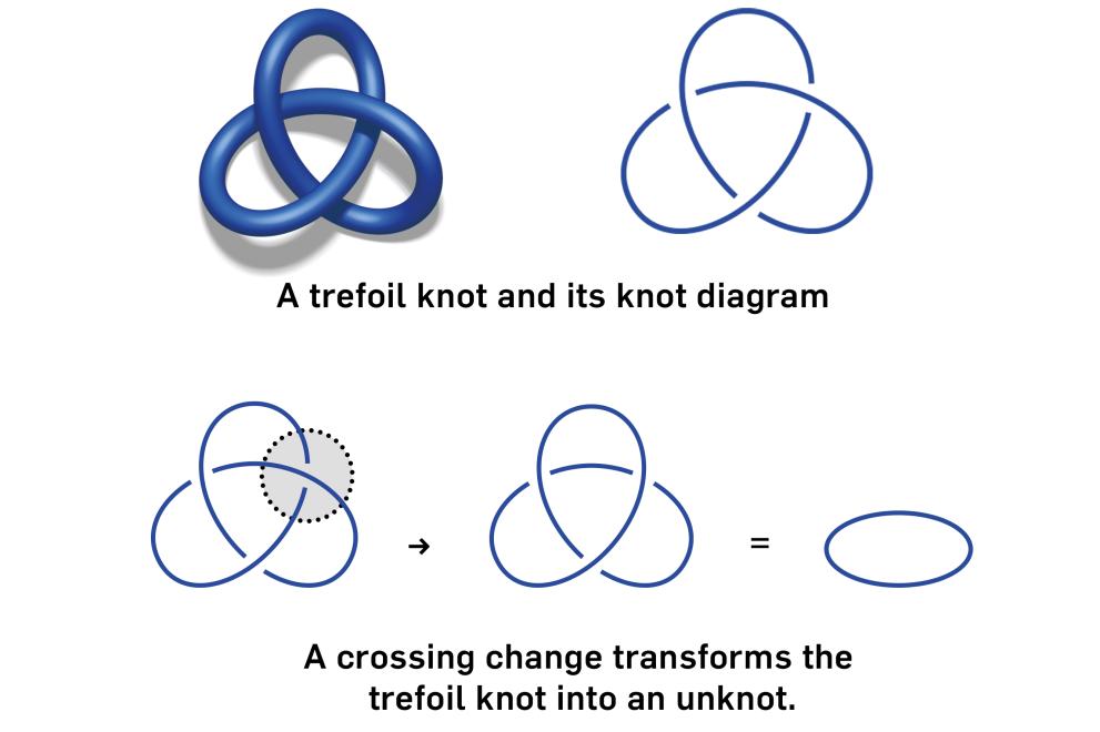 Diagram of knots and knot diagrams