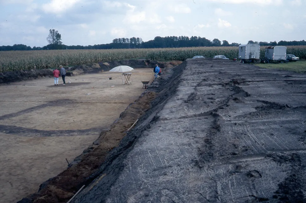 Eine archäologische Grabung am Rande eines Maisfelds