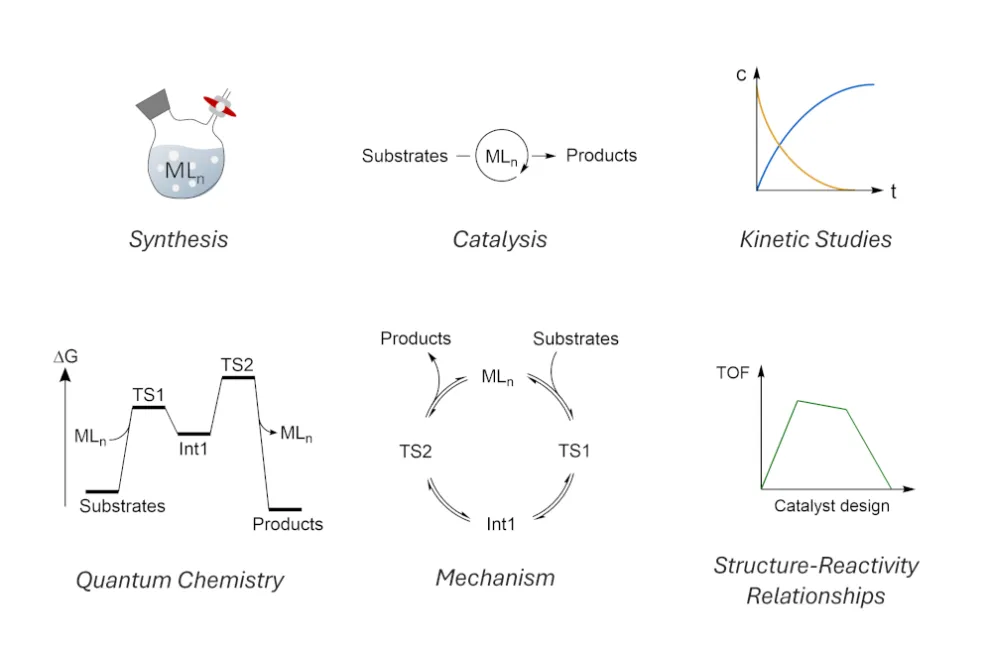 Graphic: Research techniques used in our group (synthesis, catalysis, kinetic studies, quantum chemistry, reaction mechanisms, and structure-reactivity relationships).