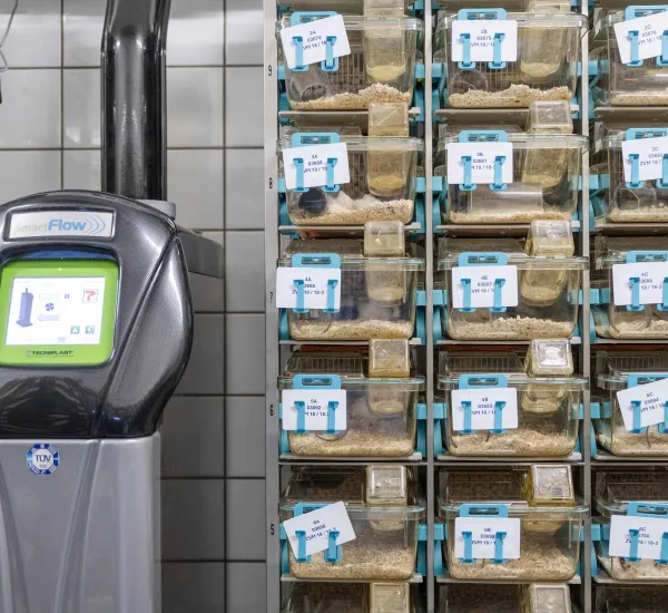 Regal mit Mäuseboxen