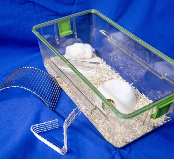 Mausbox mit Einstreu, Watte und Spielzeug