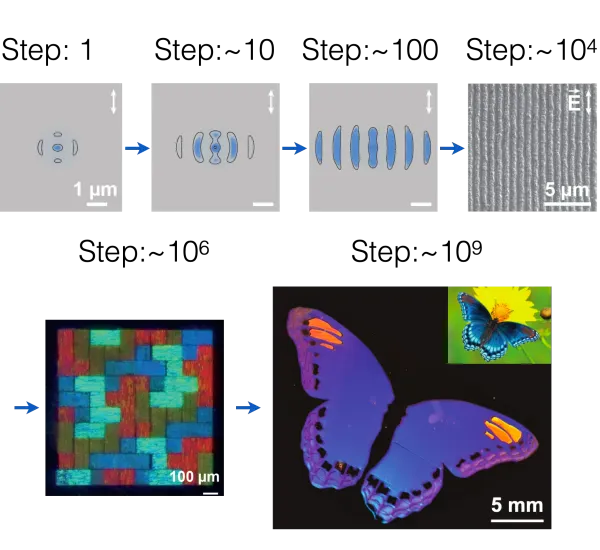 Laser pulses repeatedly interact with a material surface. Each pulse nonlinearly induces nanoscale modifications that alter the response of the surface to the subsequent pulses, creating an intrinsic nonlinear feedback that iteratively builds a complex macroscopic pattern, controlled via only a small number of external parameters.